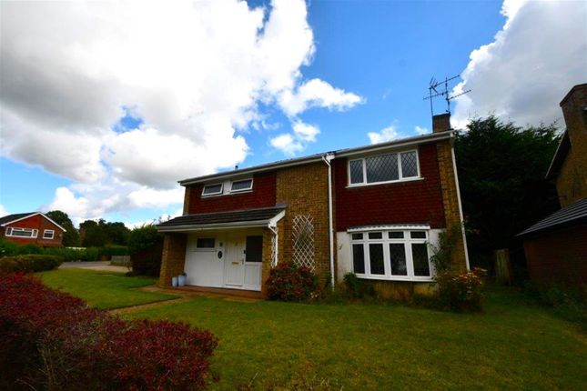 Thumbnail Property to rent in Chestnut Way, Godalming