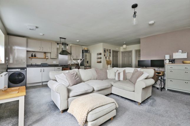 30, Broom Hayes, Rotherham photo 2