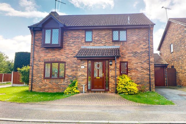 Thumbnail Detached house for sale in Boreham Close, Wickford, Essex