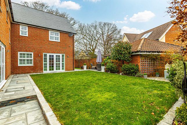 67, Christmas Tree Crescent, Hockley photo 4