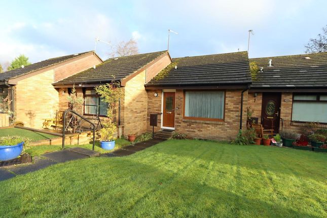 Thumbnail Bungalow for sale in Springbank Gardens, Falkirk