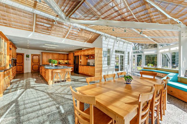 Dining/Kitchen