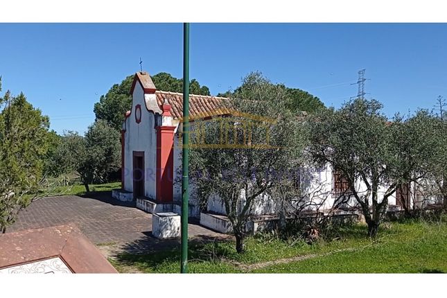 Thumbnail Detached house for sale in Silves, Silves, Faro