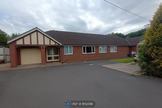 Thumbnail Bungalow to rent in Rock Green, Ludlow