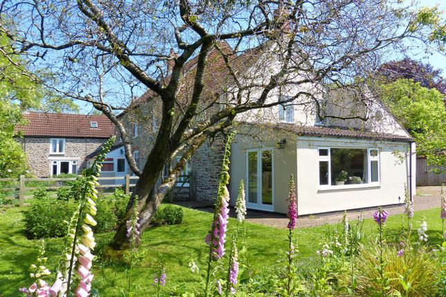 'Morton Maypole', Morton Street, Lower Morton, Nr. Thornbury photo 4