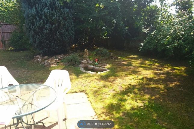 Woodhatch Spinney, Coulsdon photo 3