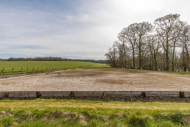 Sprawlie, Buchanan Castle Estate Drymen, Glasgow photo 4