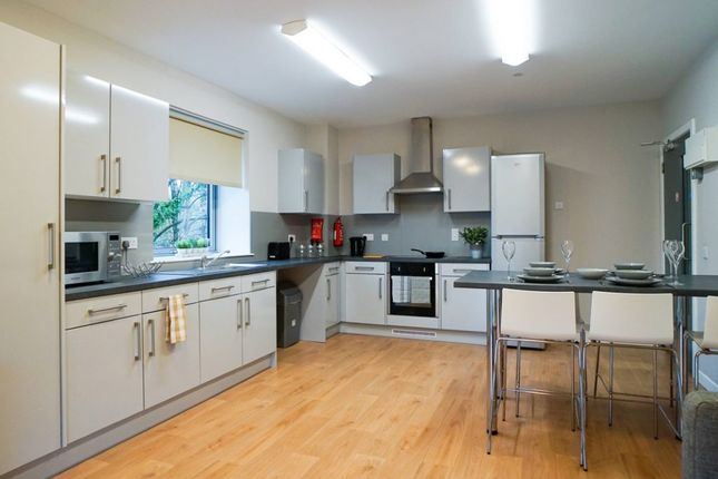 Thumbnail Flat to rent in Wellgreen Place, Stirling, 2Eg, Stirling