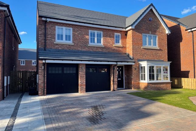 Thumbnail Detached house to rent in Chaffinch Drive, Hebburn, Tyne And Wear