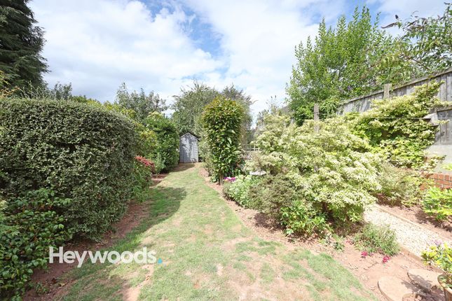 20 Thames Road, Newcastle photo 4