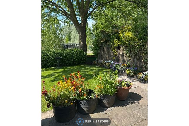 Beautiful Garden View Looking Right