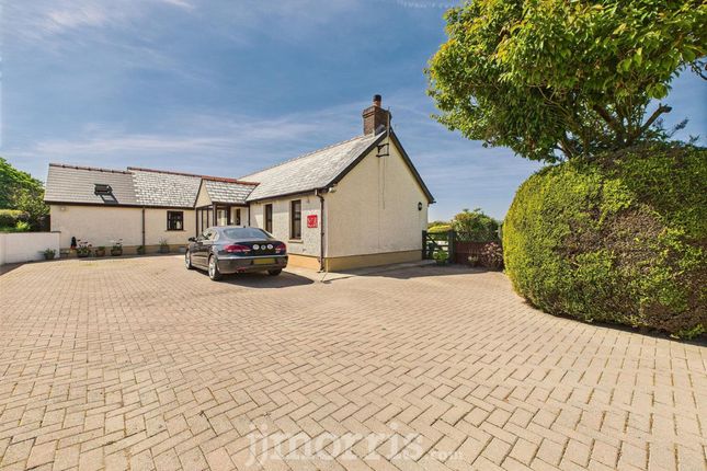 Tanyffynnon, Boncath photo 5