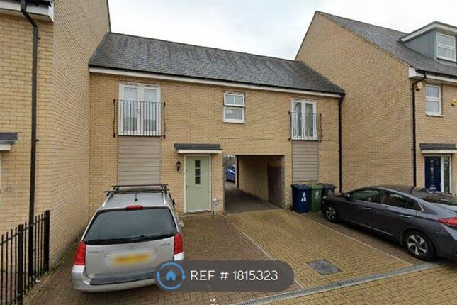 Thumbnail Terraced house to rent in Halifax Road, Upper Cambourne, Cambridge