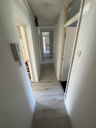 Reed Road, Tottenham, N17,N15, N18, N22, photo 3