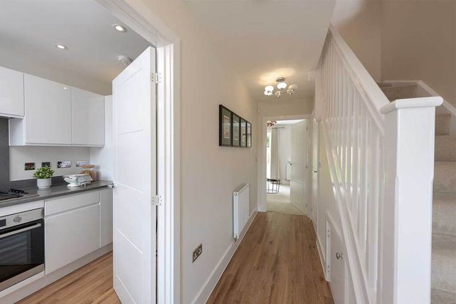 Semi-detached house for sale in "The Hamble" at Curbridge, Botley, Southampton