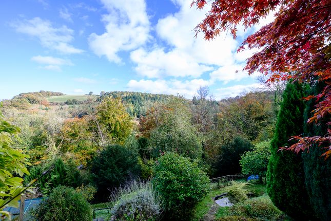 Rockbourne Update-2