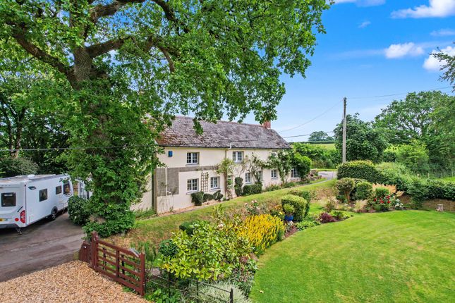 Sanctuary Gate Cottage, Winkleigh photo 4