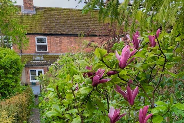 Terraced house for sale in Albert Row, Sherborne