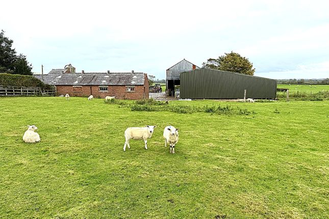 14, Highfield Avenue, Inskip photo 3