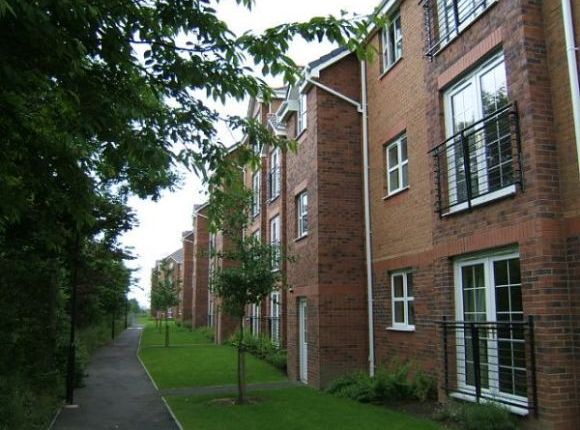 Thumbnail Flat to rent in Canavan Court, Falkirk