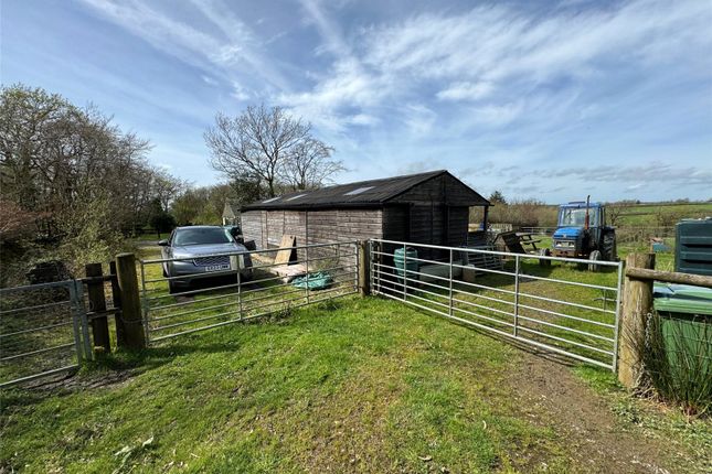 Hampden Cottage & Land,, Ashwater, Devon photo 2
