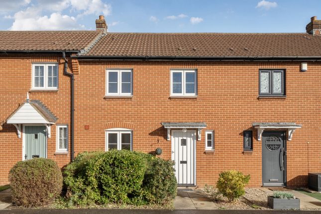 1373091-19-68Ff4E...