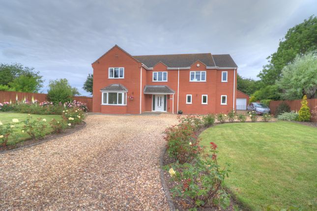 Thumbnail Detached house for sale in Back Bank, Whaplode Drove, Spalding