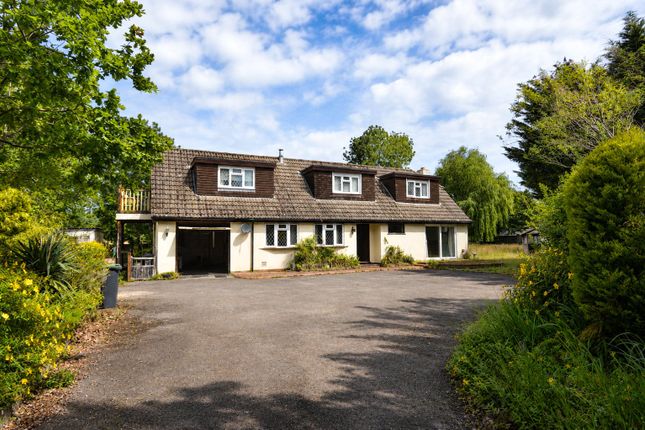 Bryhers Farm, 23, Dudmoor Farm Road, Dorset photo 2