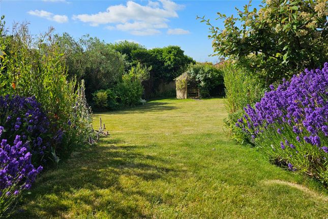 17. Garden.Jpg