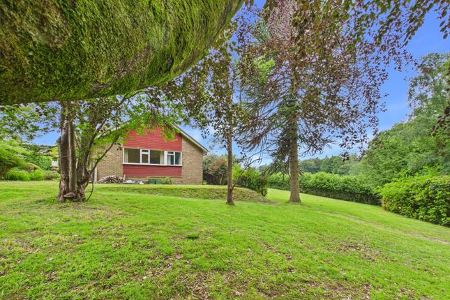 Spencers, Masons Field, Horsham photo 4