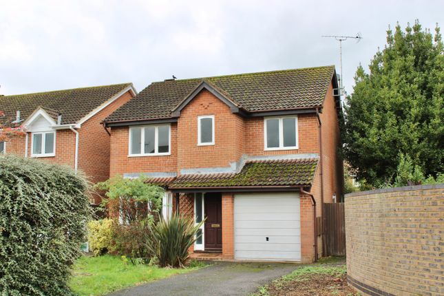 Thumbnail Detached house to rent in Crummock Road, Chandler's Ford, Eastleigh