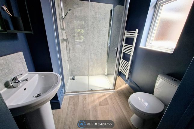 Room 3 - Ensuite + Kitchenette