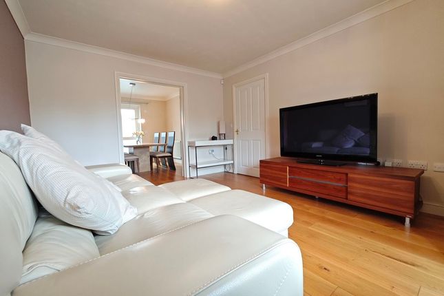 51, Edenside, Cargo photo 3