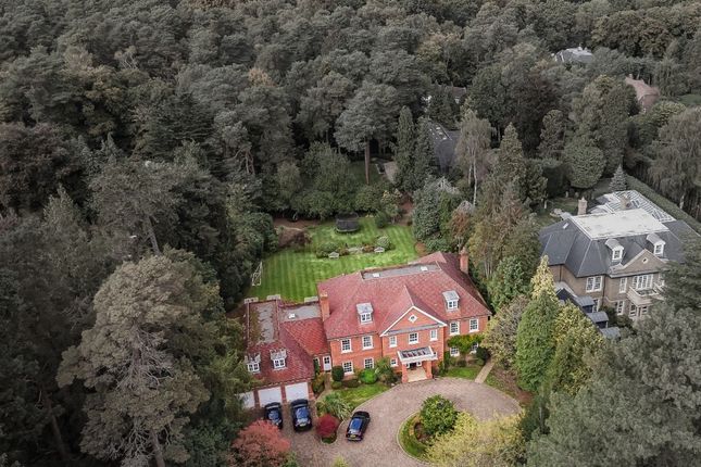 Thumbnail Detached house for sale in Larch Avenue, Ascot, Berkshire