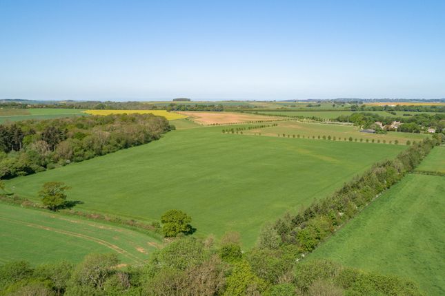 Arable Land