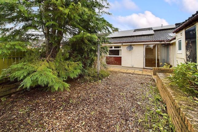 Semi-detached bungalow for sale in Wilton Road, Carluke