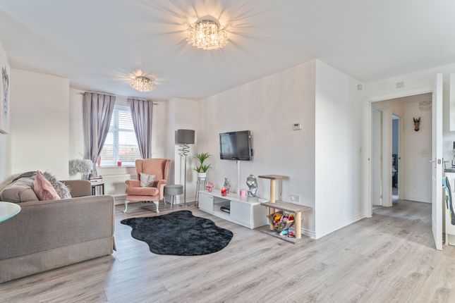Flat 4, 25 Swan Crescent, Newport photo 4