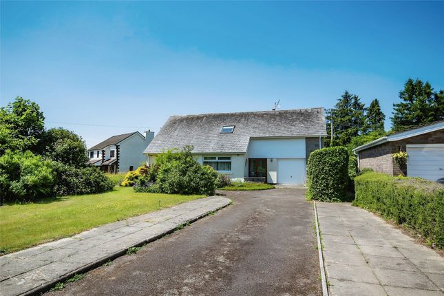 Bungalow for sale in Lampeter Road, Tregaron