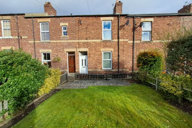 Thumbnail Terraced house for sale in Spittal Terrace, Hexham