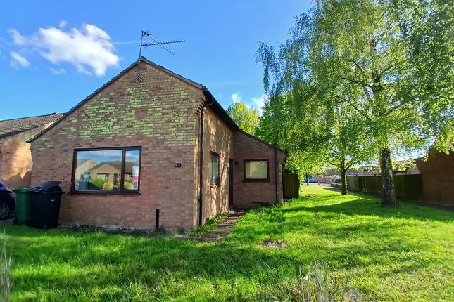 Bungalow to rent in Gallow Drive, Downham Market