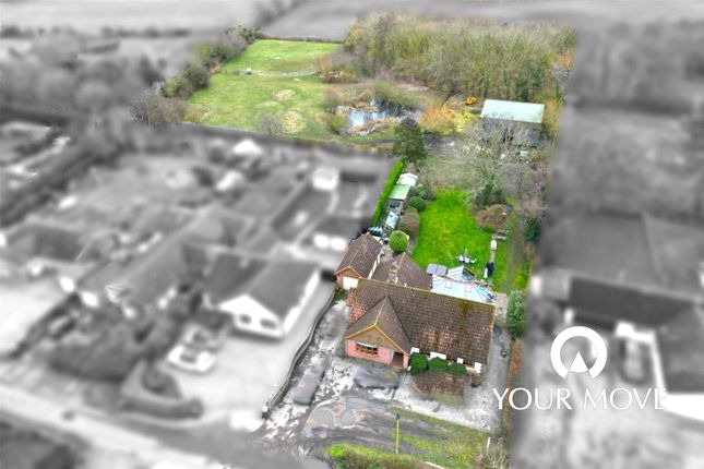 15, Holly Lane, Beccles photo 2