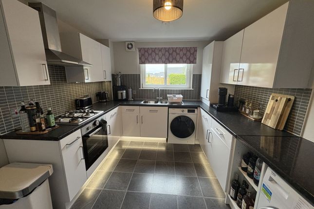 0/2 4 Highgrove Court, Renfrew photo 5