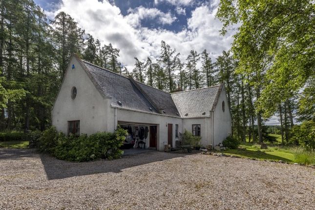 Logie Woodlands, Inverurie photo 3