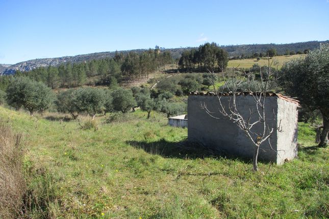 Land for sale in Nisa, Portalegre, Alentejo, Portugal