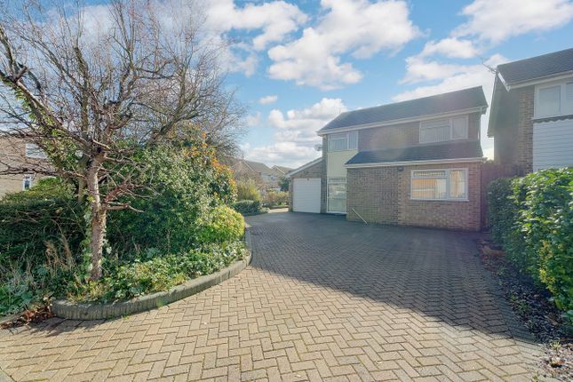 Thumbnail Detached house for sale in Chestnut Walk, Chelmsford