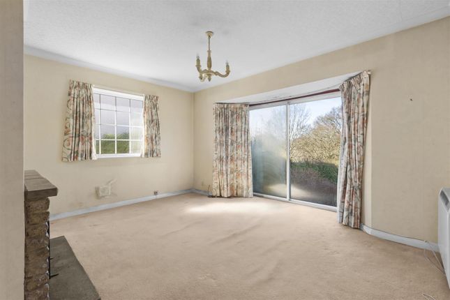 March Wood, Hammersley Lane, High Wycombe photo 4