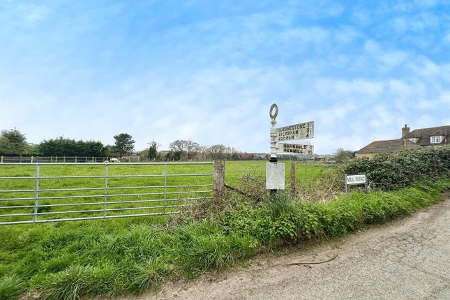 Animal Farm, Mill Road, Canterbury photo 4