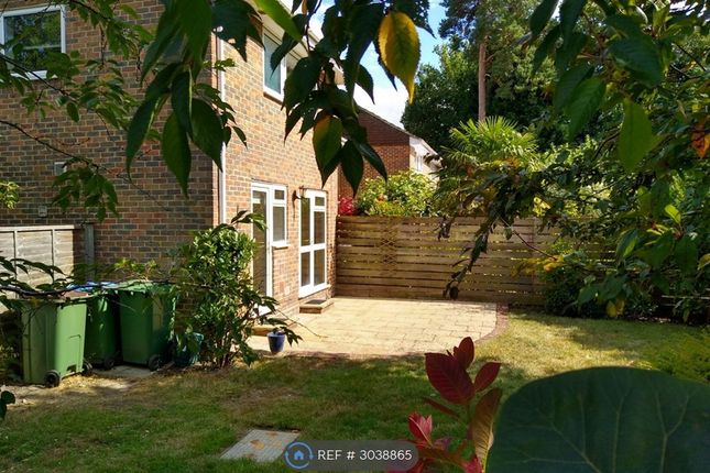 Wynton Grove, Walton-On-Thames photo 2