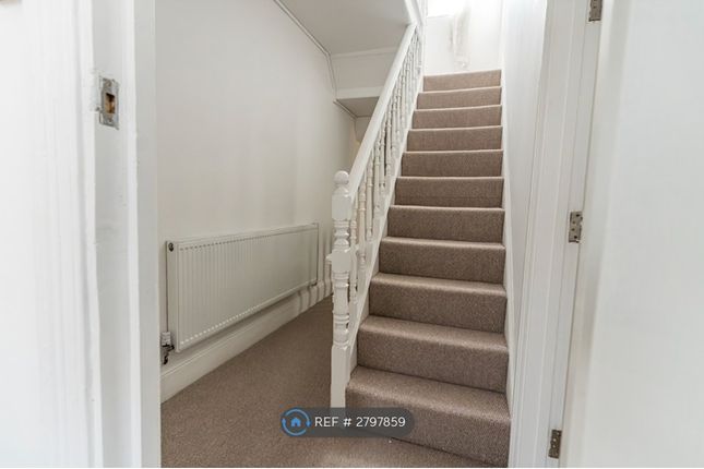 Watford photo 5