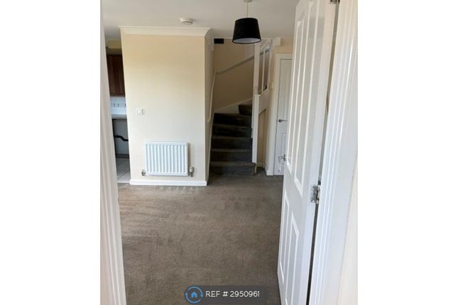 Cotton Thistle Way, Minster On Sea, Sheerness photo 3